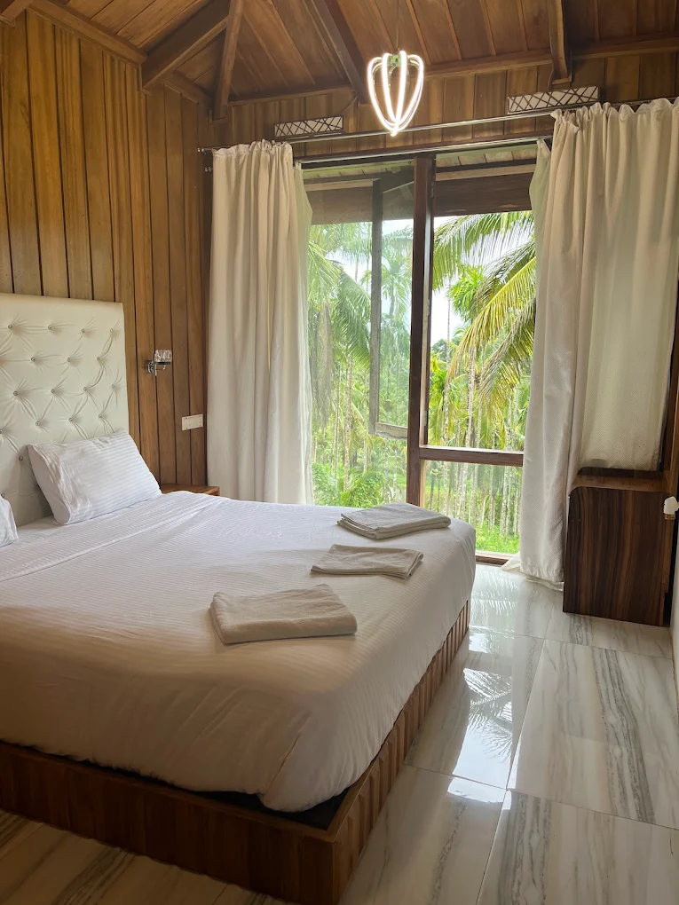 Rainforest Resort room.webp